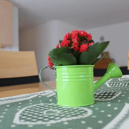 Haus Mondelli דירה *