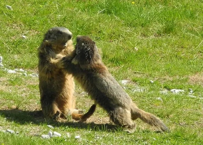 Haus Mondelli Saas-Almagell